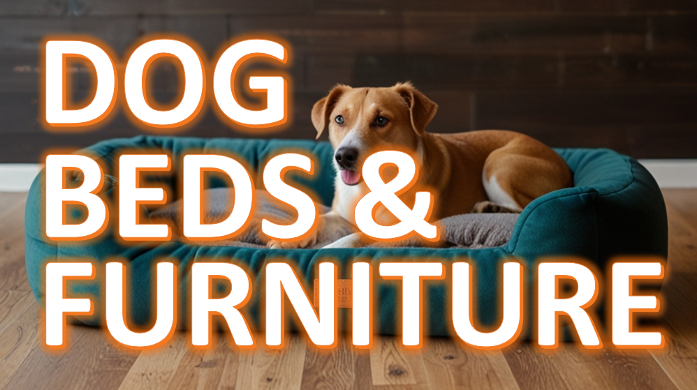 Brown and white dog lying in a green dog bed with a gray cushion, set on a wooden floor against a dark wooden wall, with the text 'DOG BEDS & FURNITURE' overlaid in bold, orange letters.
