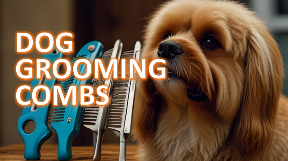 Fluffy golden-brown dog standing beside a set of professional dog grooming combs on a wooden surface, with the text 'DOG GROOMING COMBS' overlaid in bold, orange letters.