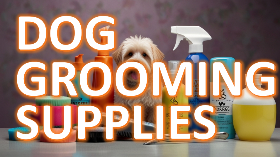 Small fluffy dog peeking from behind a variety of dog grooming supplies, including brushes, combs, and bottles, with the text 'DOG GROOMING SUPPLIES' overlaid in bold, orange letters.