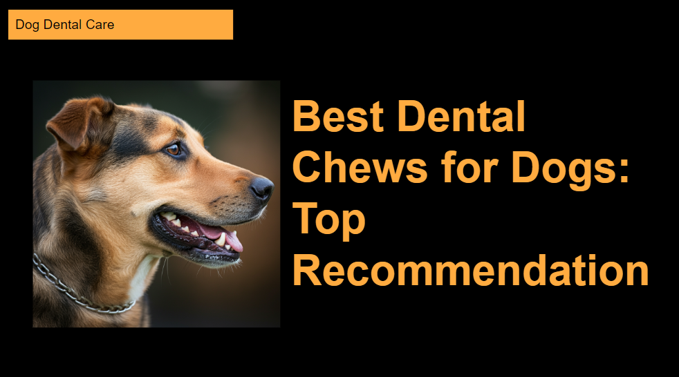 A side profile of a happy dog with clean teeth, next to text that reads "Best Dental Chews for Dogs: Top Recommendation" on a black background with orange highlights.