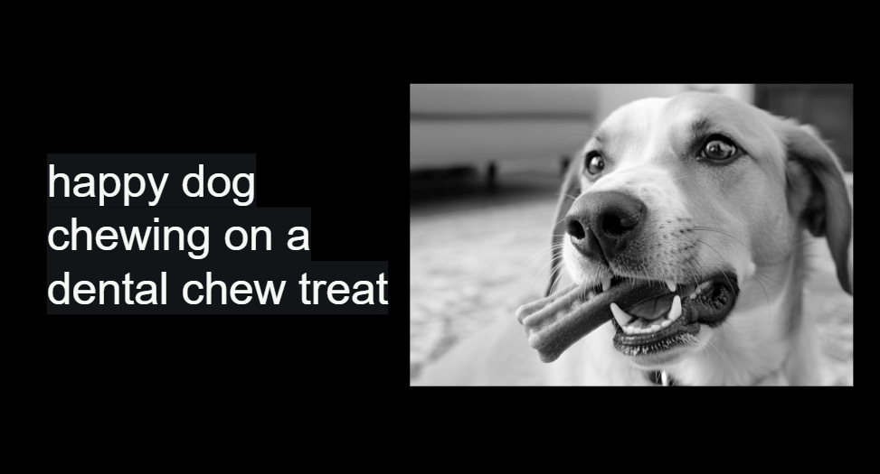 Happy dog chewing on a Greenies dental chew treat