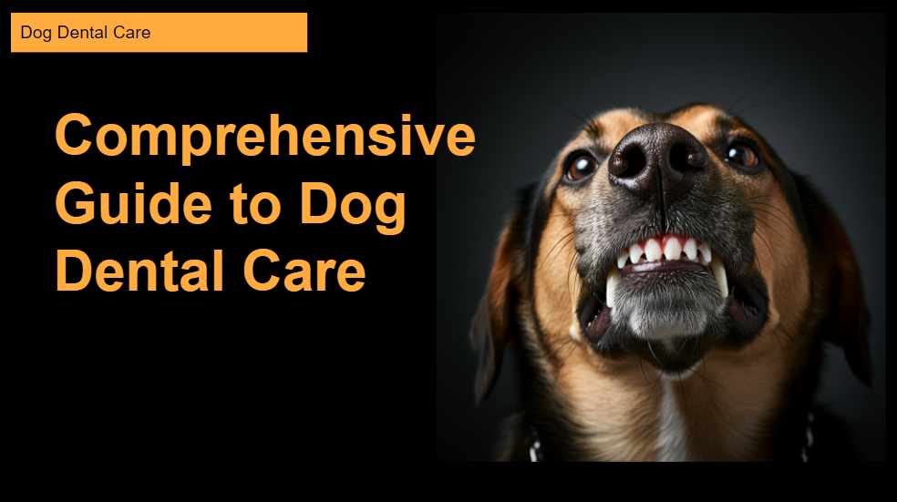 A close-up image of a dog's mouth showing its clean teeth, accompanied by the text "Comprehensive Guide to Dog Dental Care" on a black background with orange highlights.
