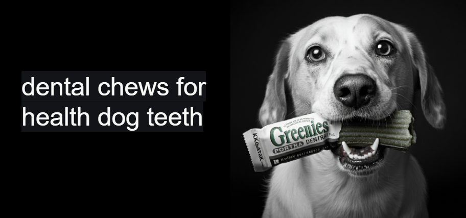 A dog holding a dental chew in its mouth, with text promoting the benefits of dental chews for healthy teeth.