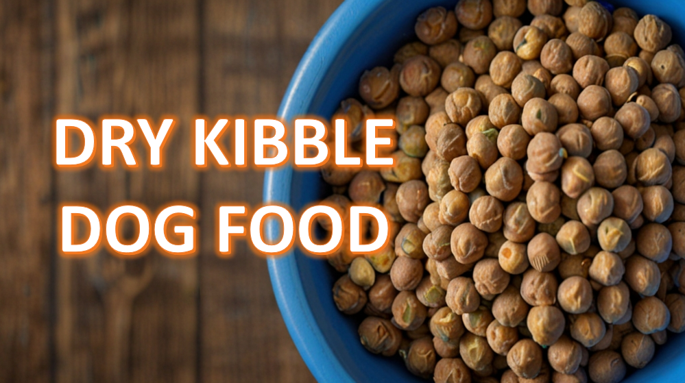 Close-up of a blue bowl filled with round, brown dry kibble dog food on a wooden surface with the text 'DRY KIBBLE DOG FOOD' overlaid in bold, orange letters.
