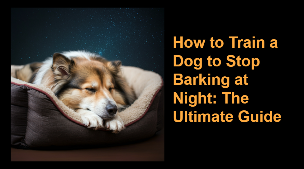 A calm dog sleeping in a cozy bed, symbolizing a peaceful night's sleep