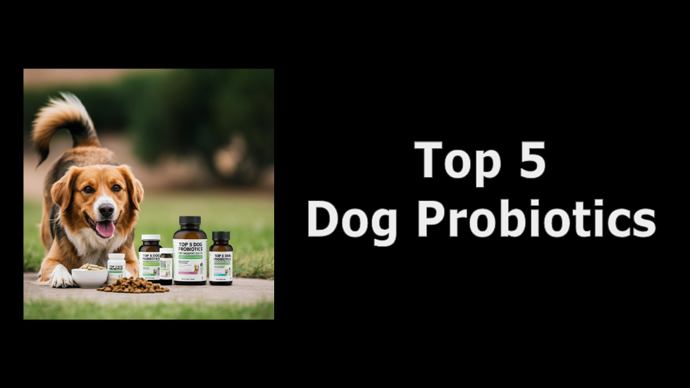 The Ultimate Guide to the Top 5 Dog Probiotics for Digestive Health post thumbnail image